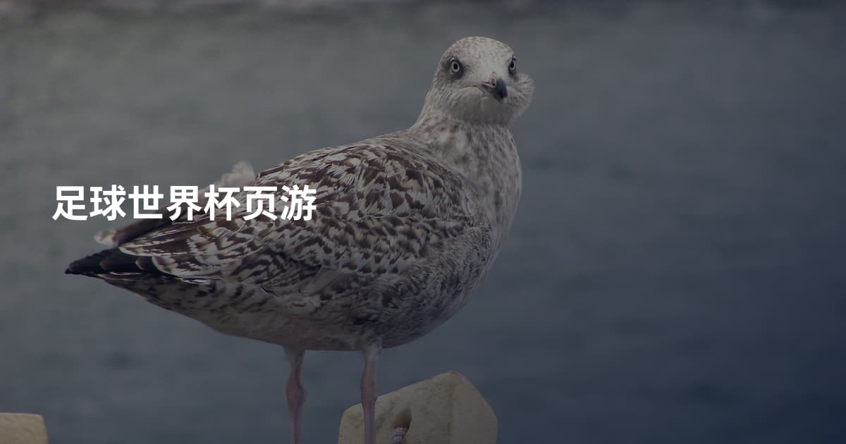 足球世界杯页游