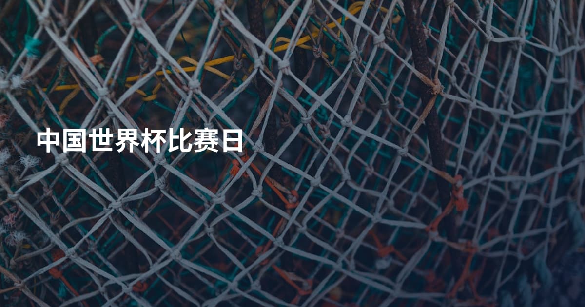 中国世界杯比赛日