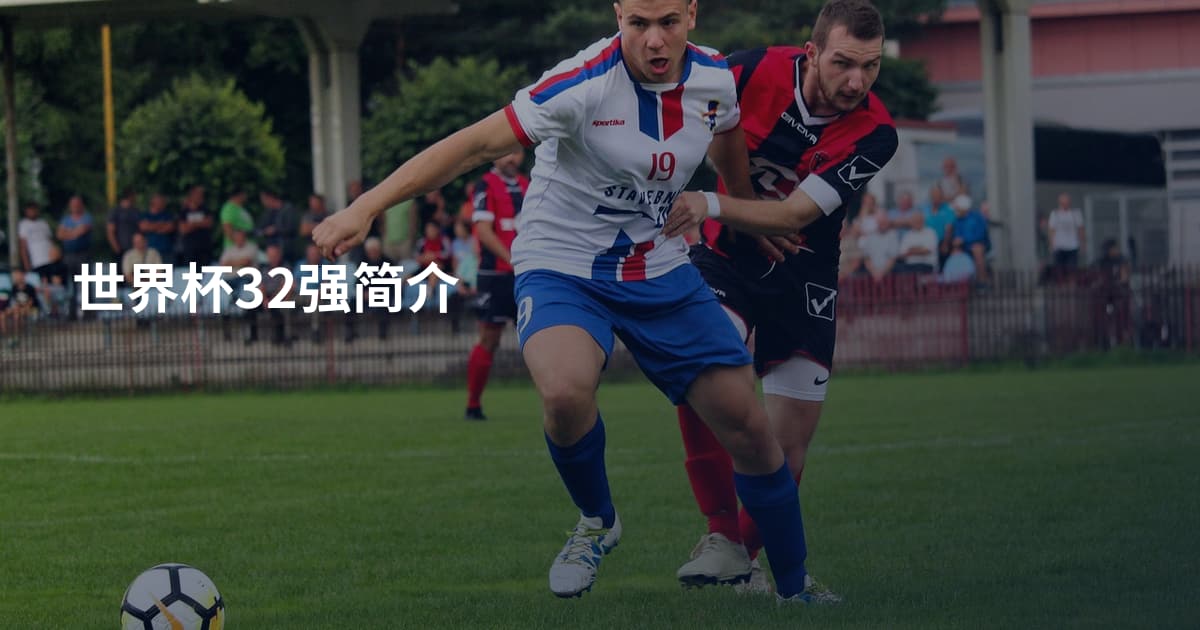 世界杯32强简介