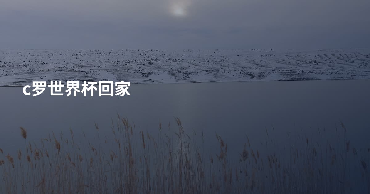 c罗世界杯回家
