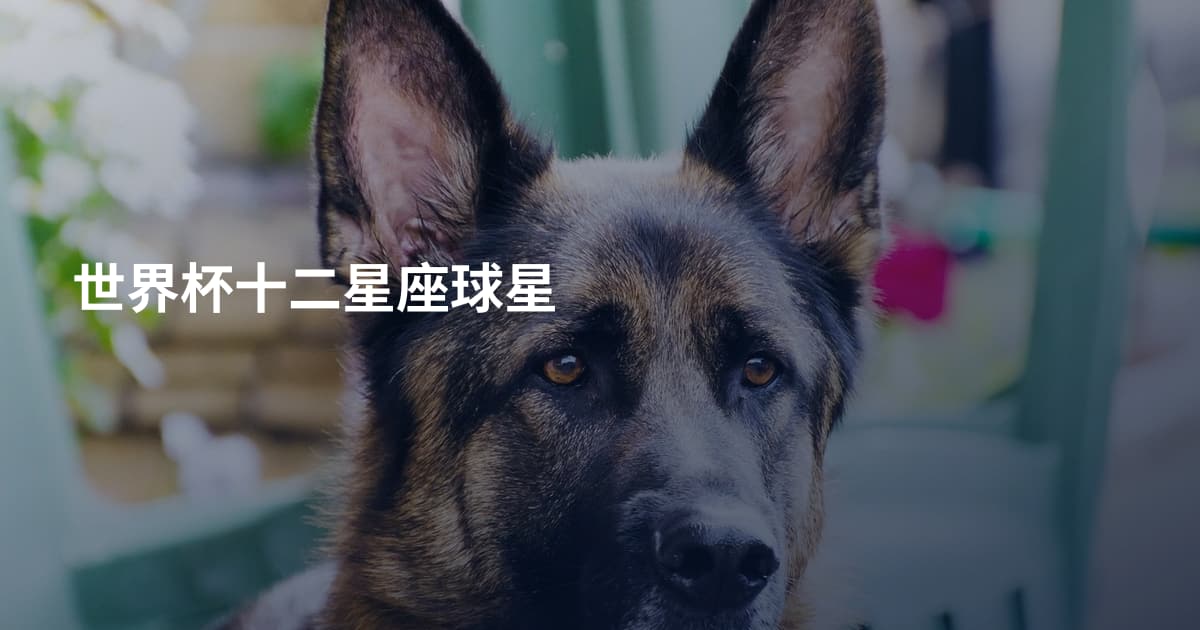 世界杯十二星座球星