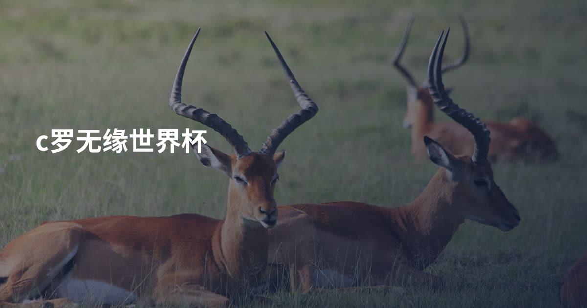 c罗无缘世界杯