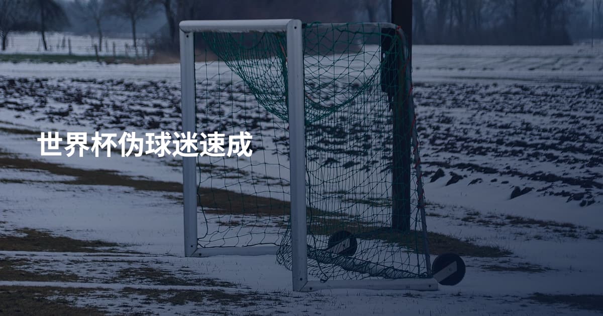 世界杯伪球迷速成