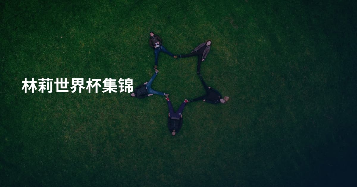 林莉世界杯集锦