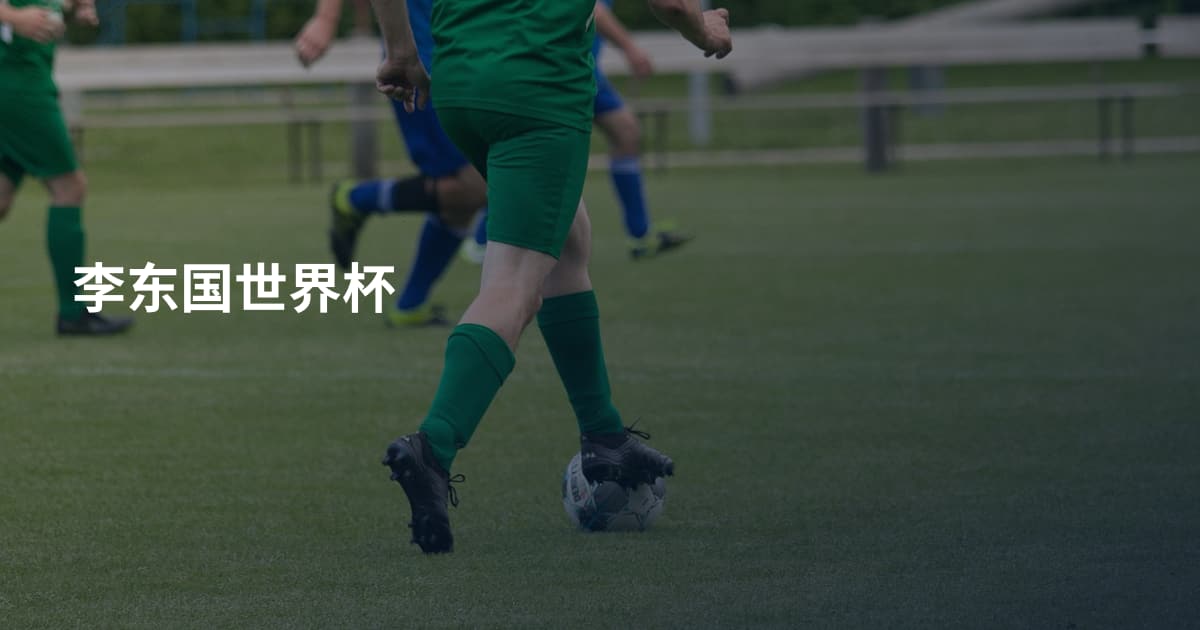 李东国世界杯