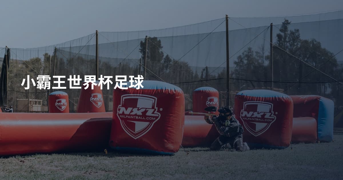 小霸王世界杯足球