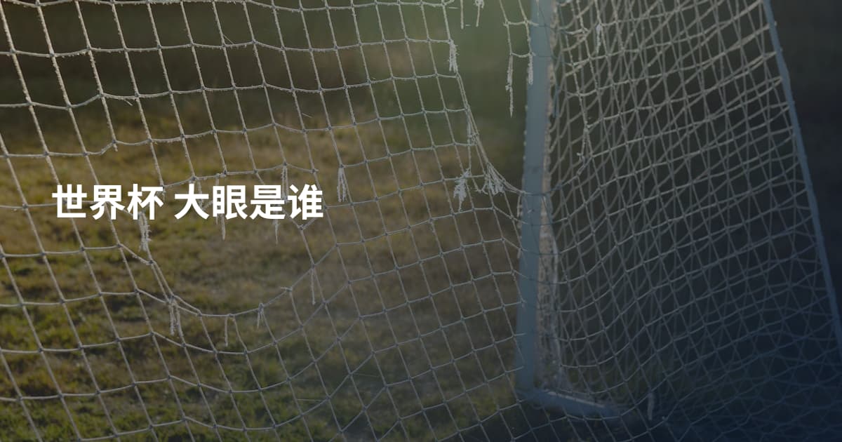 世界杯 大眼是谁