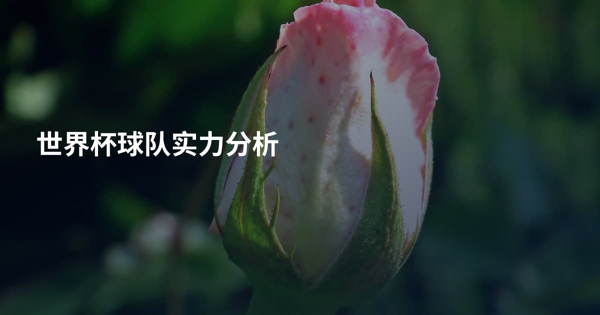 世界杯球队实力分析