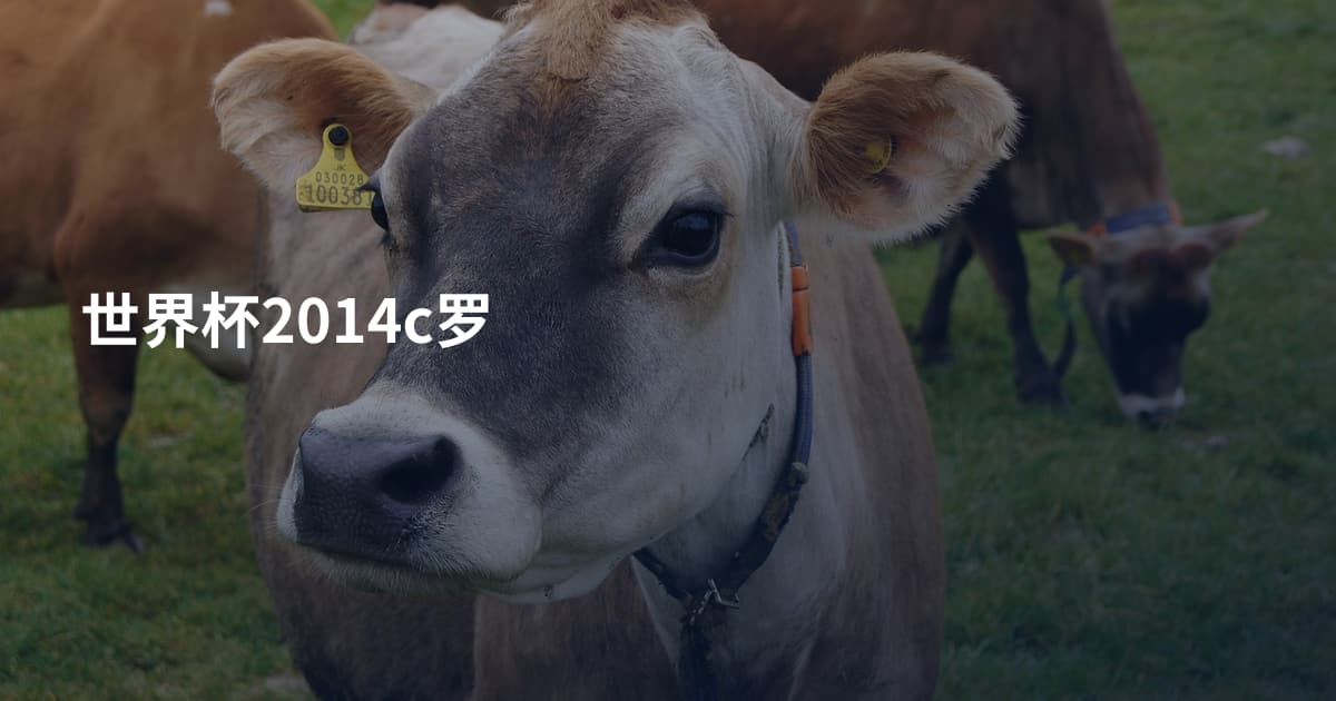 世界杯2014c罗