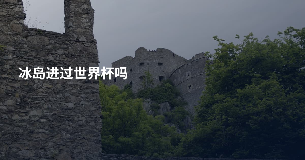 冰岛进过世界杯吗