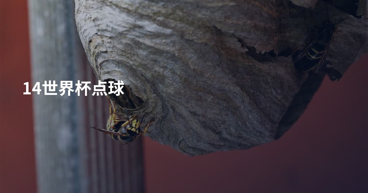 14世界杯点球
