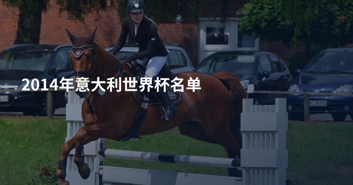2014年意大利世界杯名单