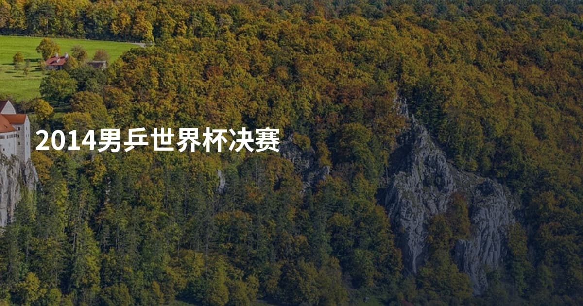 2014男乒世界杯决赛