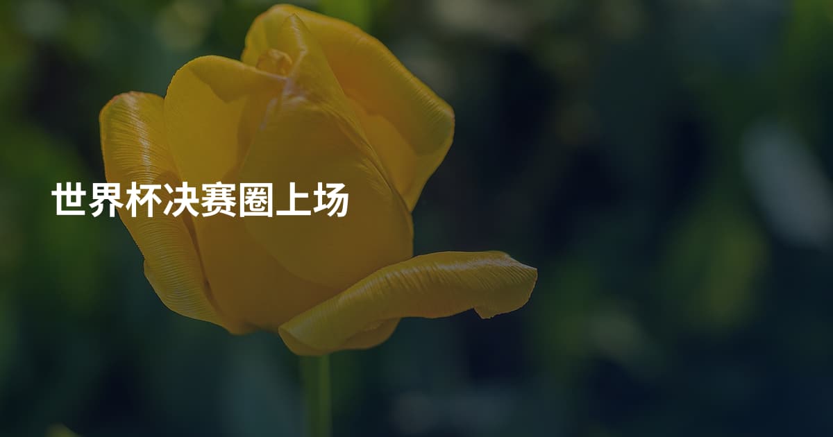 世界杯决赛圈上场