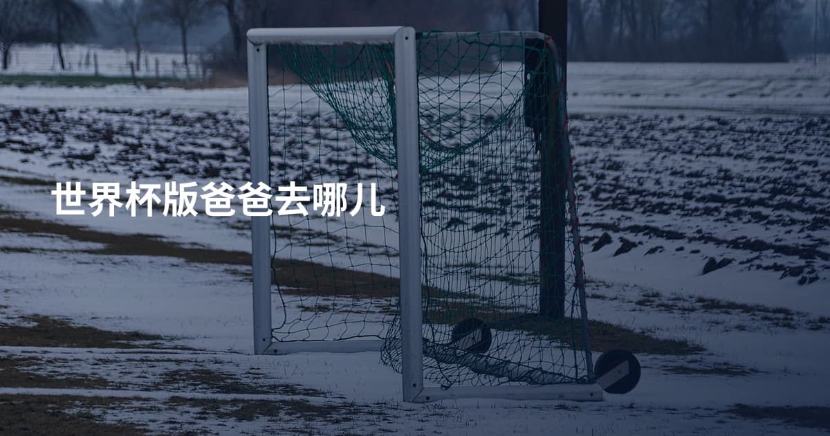 世界杯版爸爸去哪儿