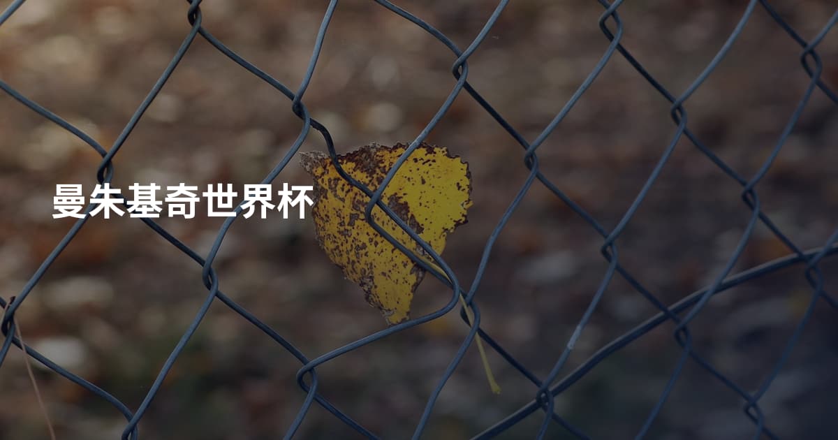 曼朱基奇世界杯