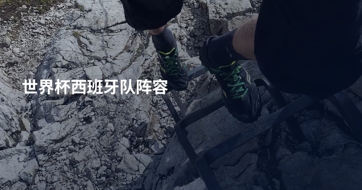 世界杯西班牙队阵容