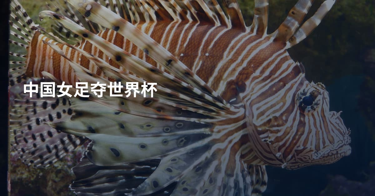 中国女足夺世界杯