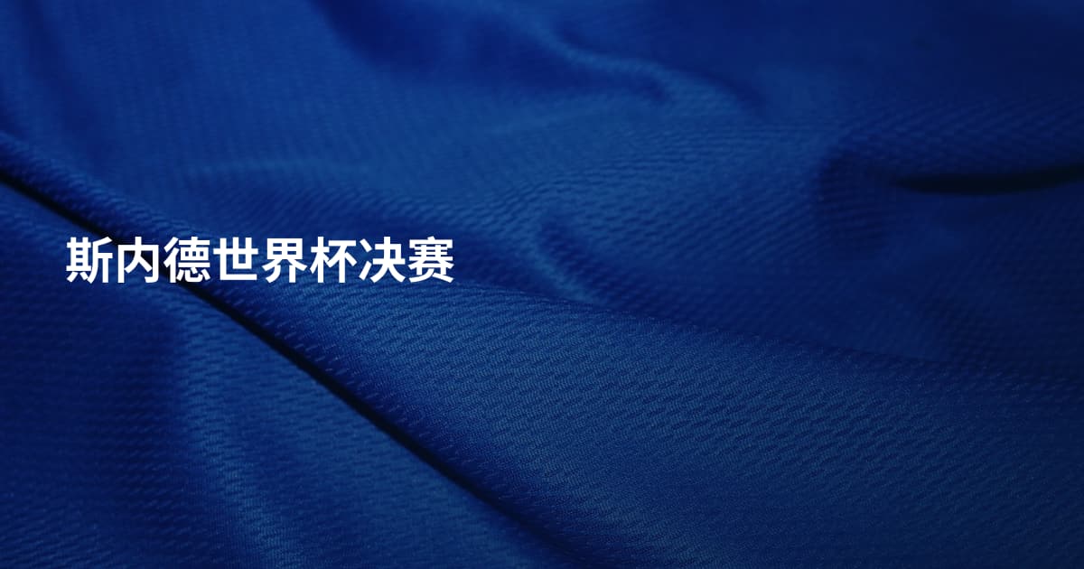 斯内德世界杯决赛