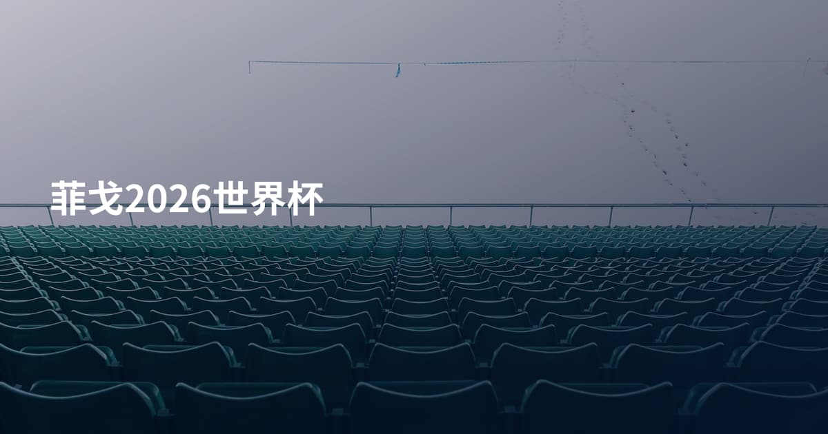 菲戈2026世界杯