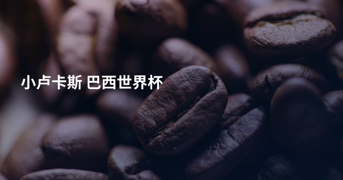 小卢卡斯 巴西世界杯