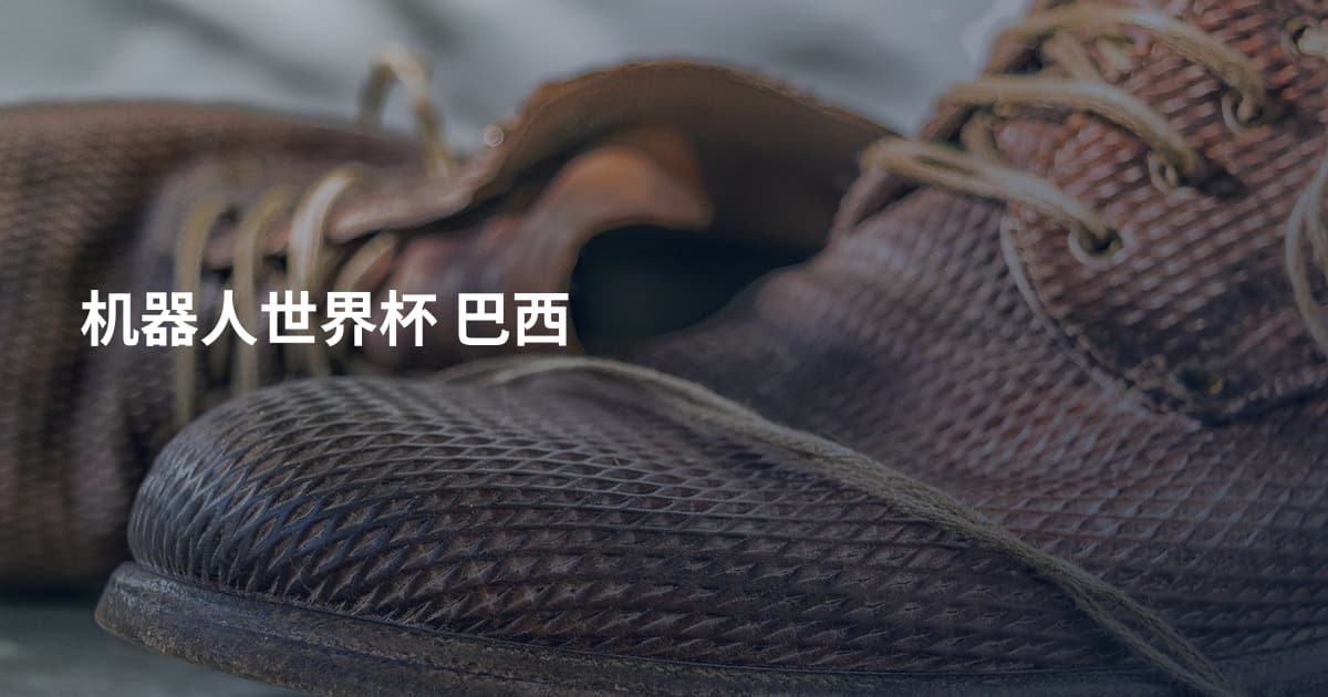 机器人世界杯 巴西