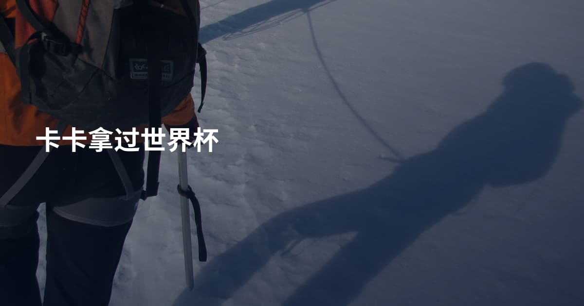 卡卡拿过世界杯