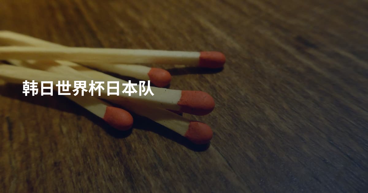 韩日世界杯日本队