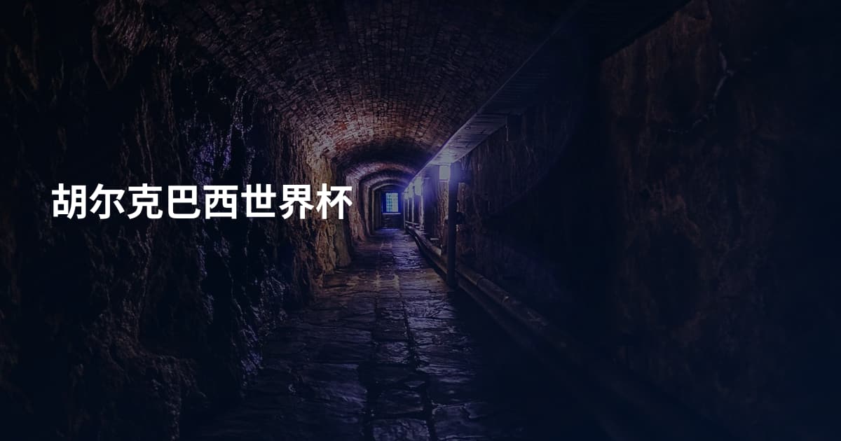 胡尔克巴西世界杯