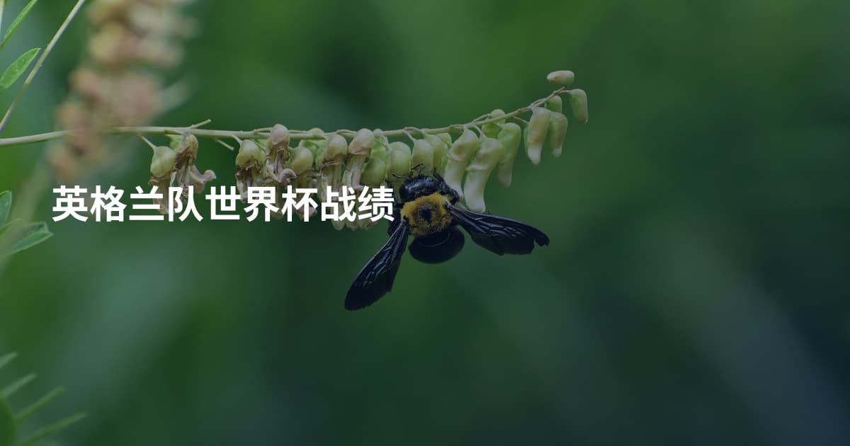英格兰队世界杯战绩