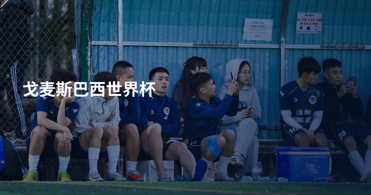 戈麦斯巴西世界杯