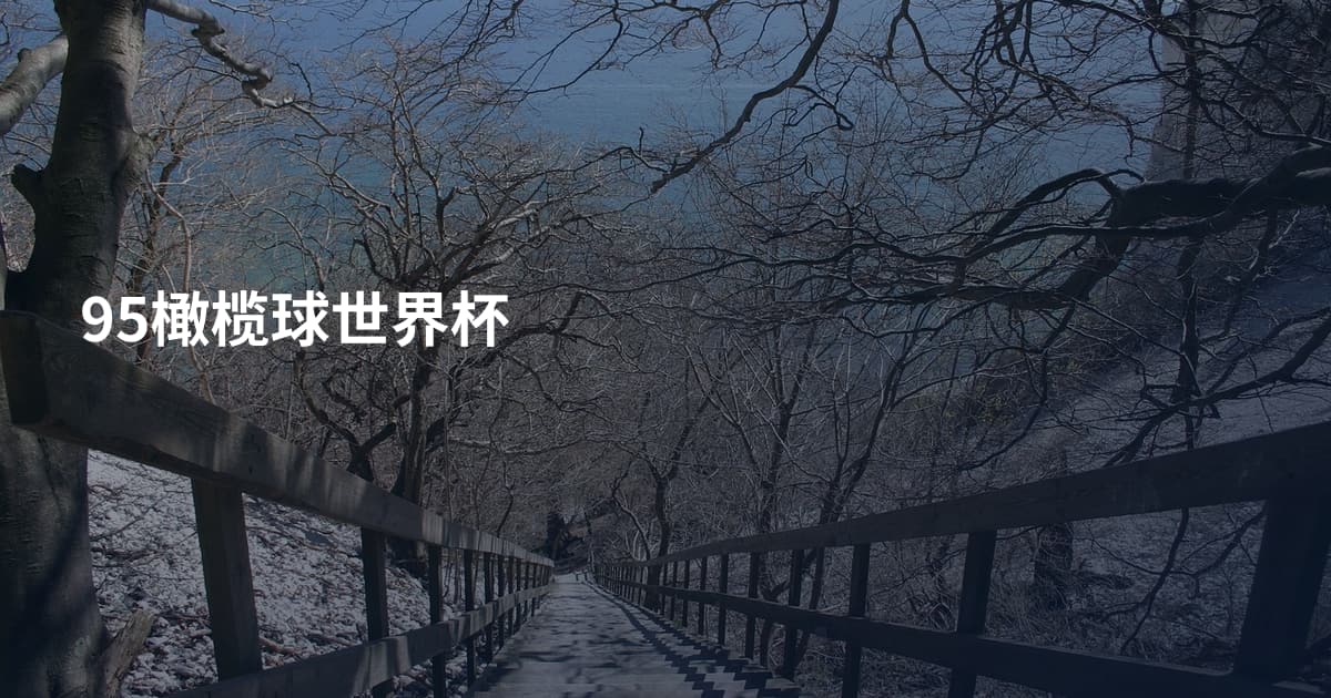 95橄榄球世界杯