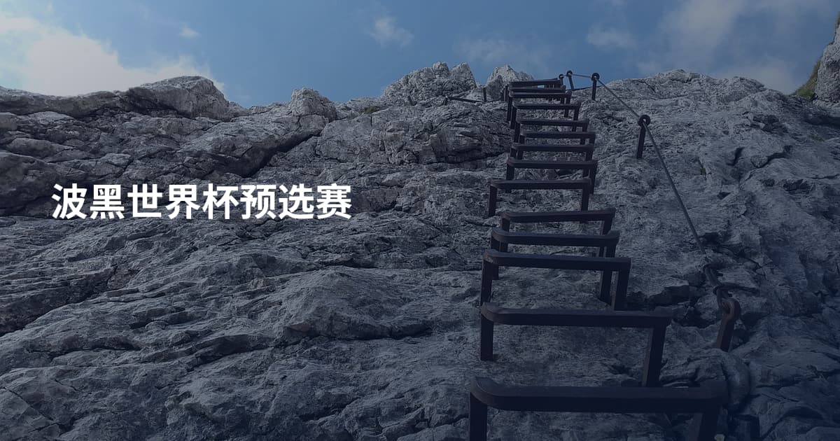 波黑世界杯预选赛