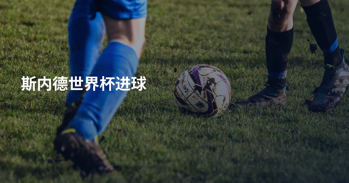 斯内德世界杯进球