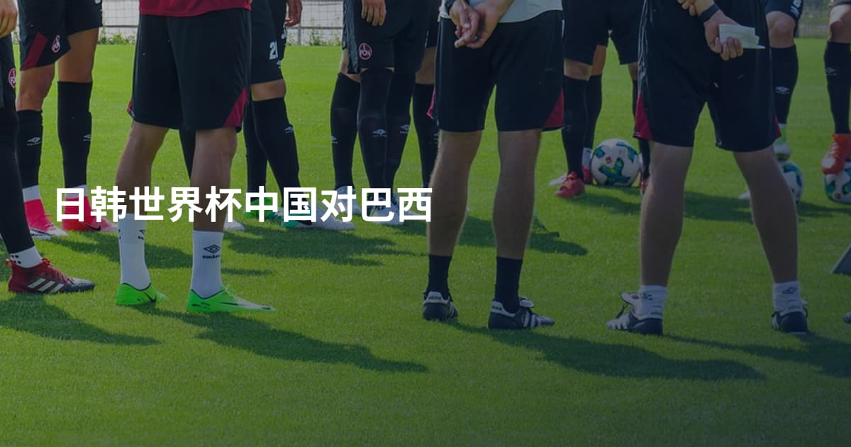 日韩世界杯中国对巴西
