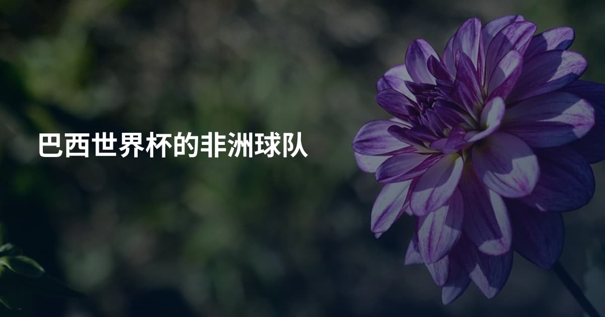 巴西世界杯的非洲球队