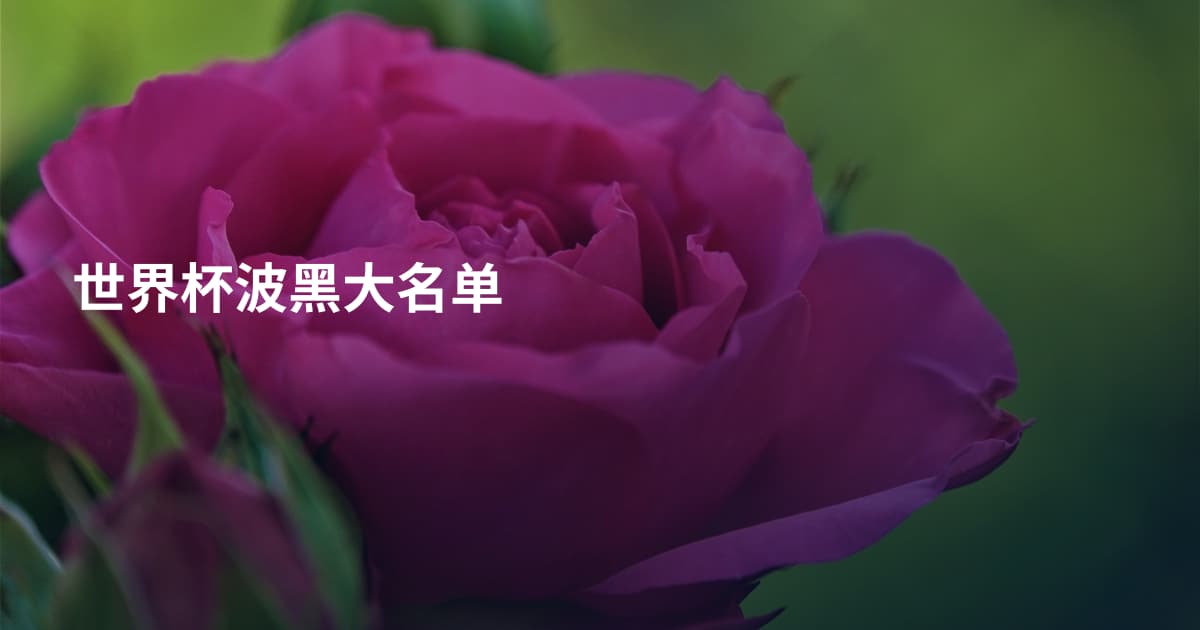 世界杯波黑大名单