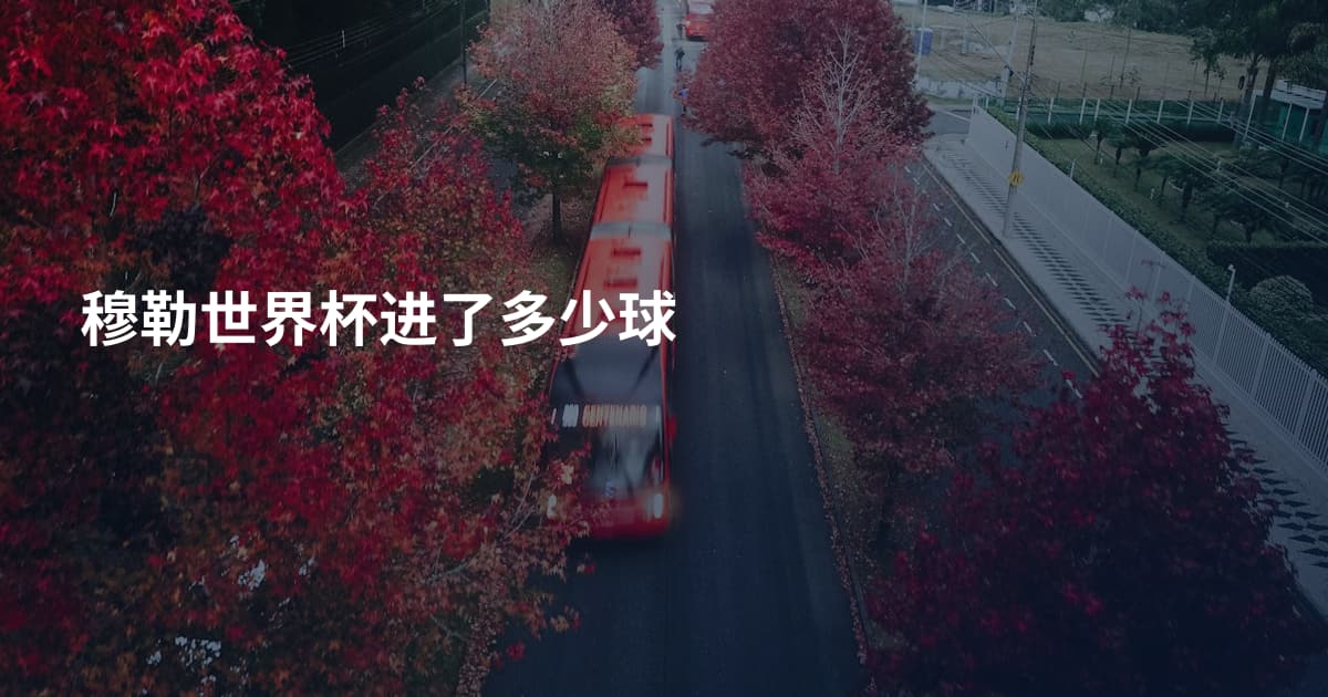 穆勒世界杯进了多少球