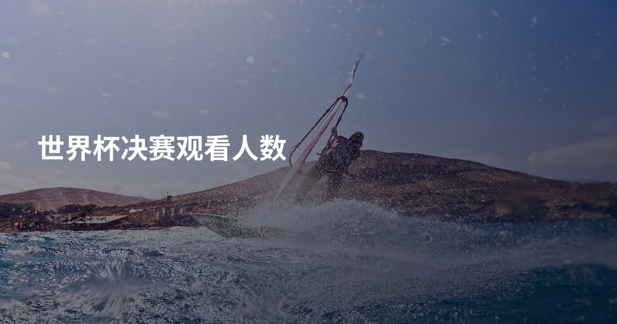 世界杯决赛观看人数