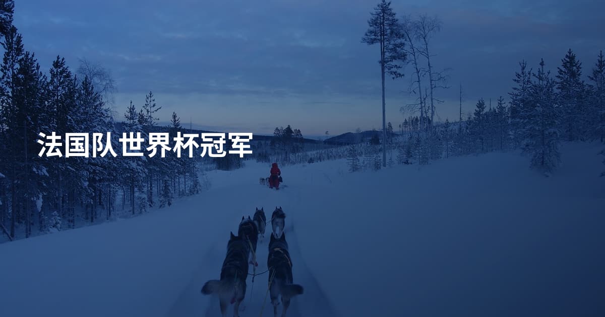 法国队世界杯冠军