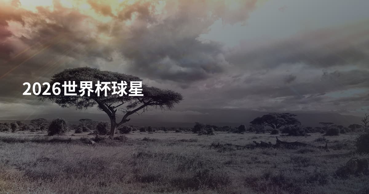 2026世界杯球星