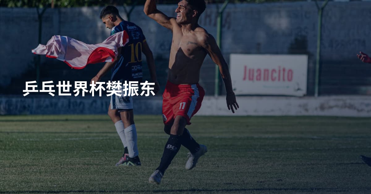乒乓世界杯樊振东