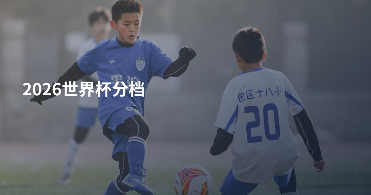 2026世界杯分档