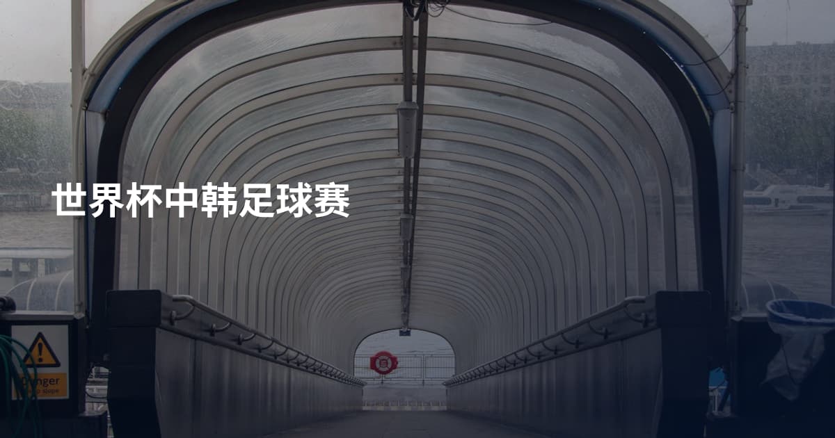 世界杯中韩足球赛