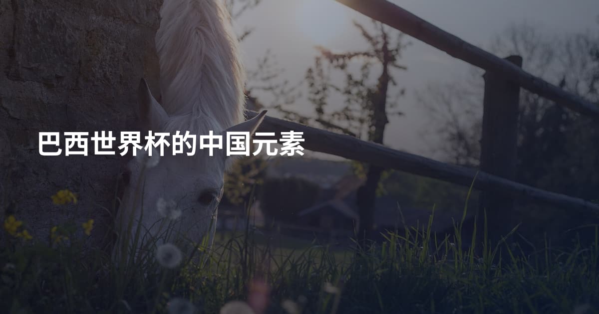 巴西世界杯的中国元素
