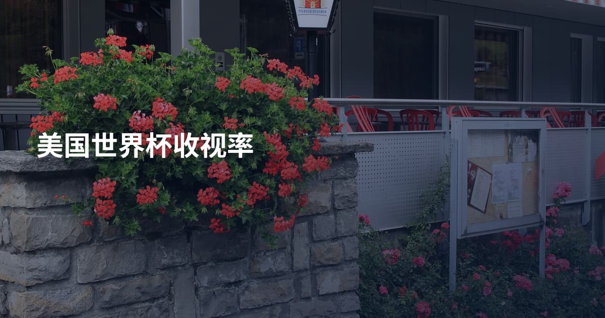 美国世界杯收视率