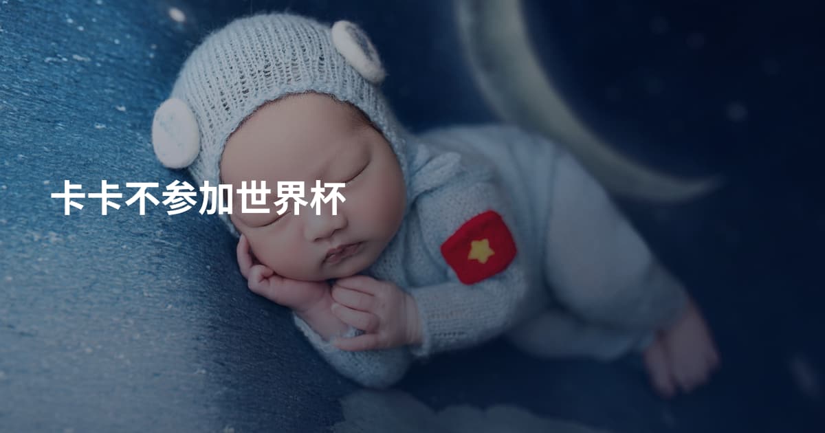 卡卡不参加世界杯