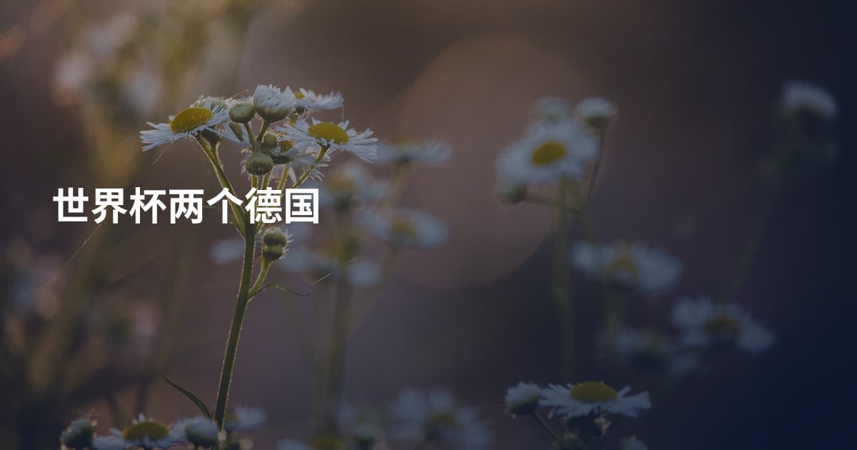 世界杯两个德国