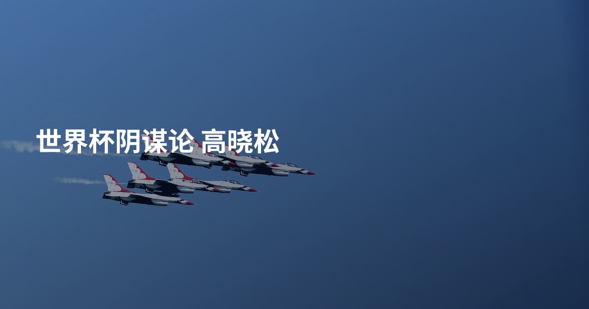 世界杯阴谋论 高晓松
