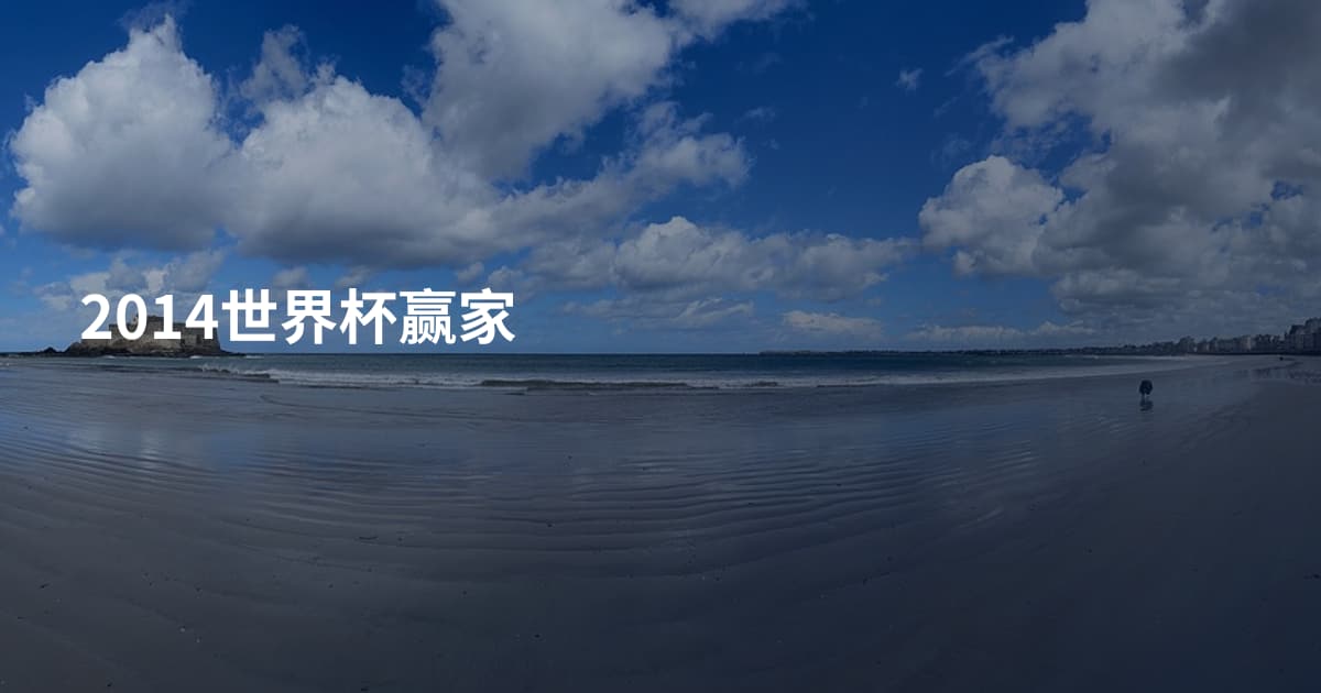 2014世界杯赢家